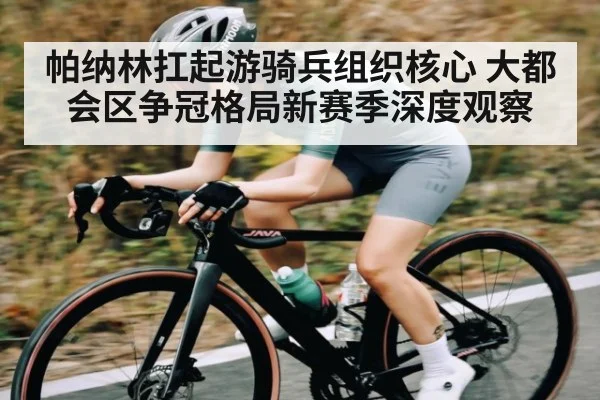 帕纳林扛起游骑兵组织核心 大都会区争冠格局新赛季深度观察